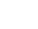 CS AUDIT